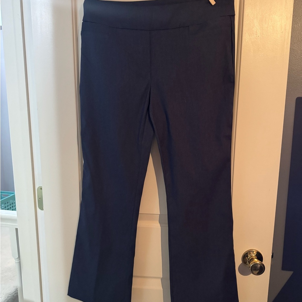 Rekucci Women's Slate Blue Pants - size 12P